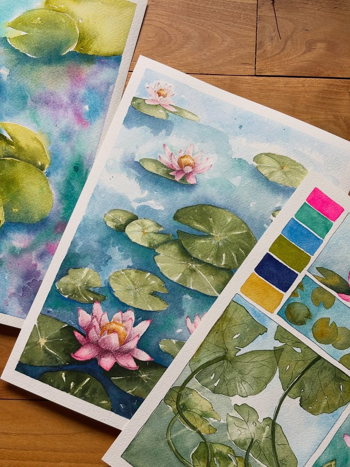 Lotus et Nénuphars - le kit coloriage