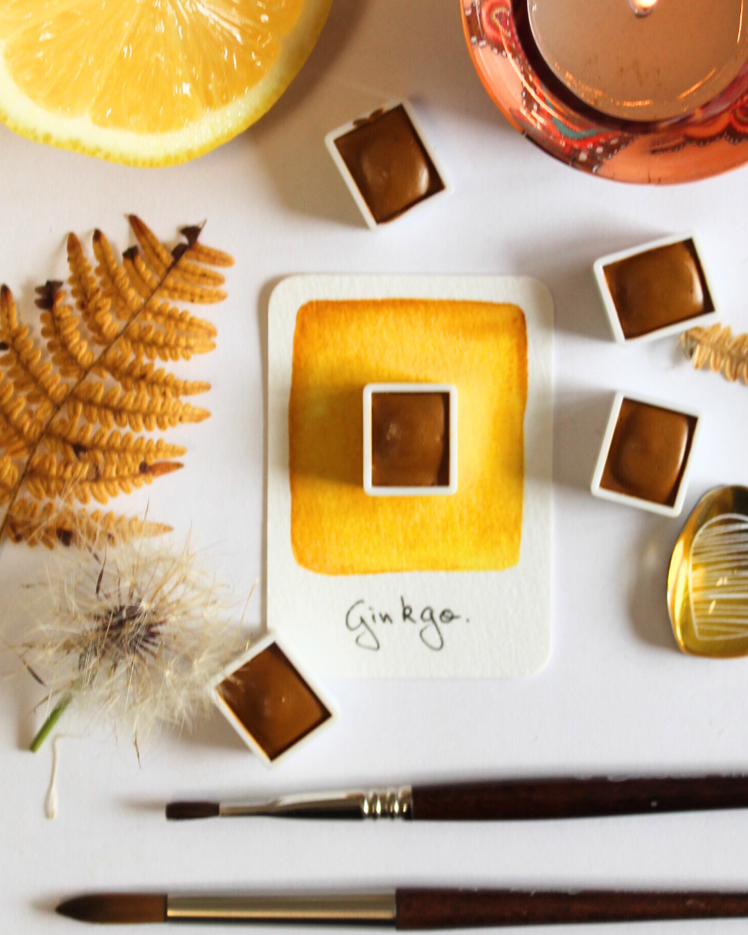 « L’automne en Volutes »