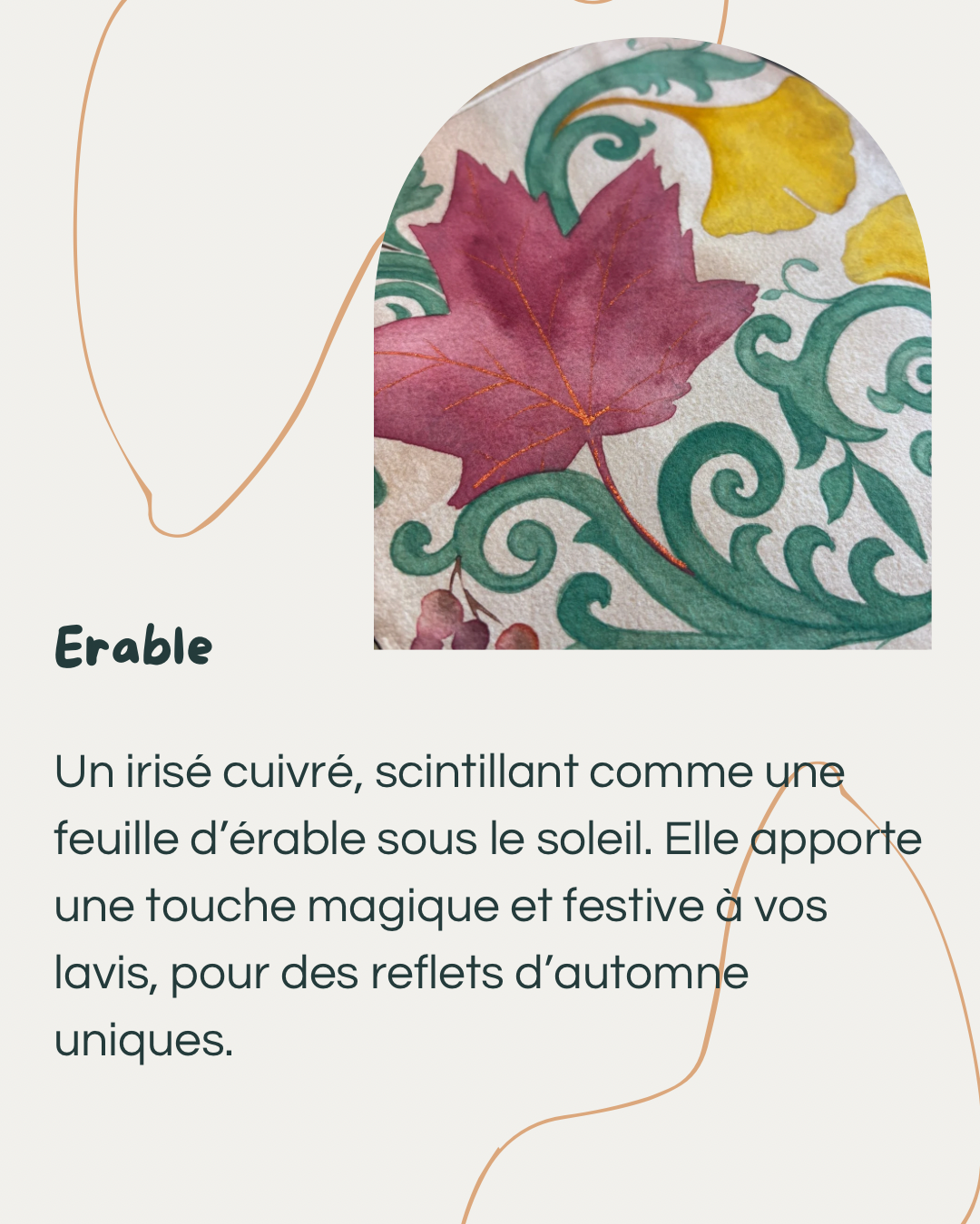 Érable - irisée